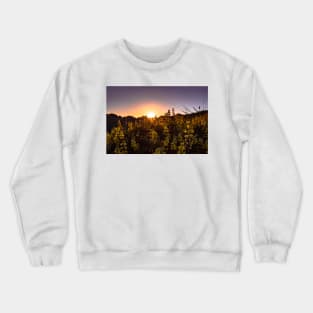 Sunlight shining through lupine Crewneck Sweatshirt